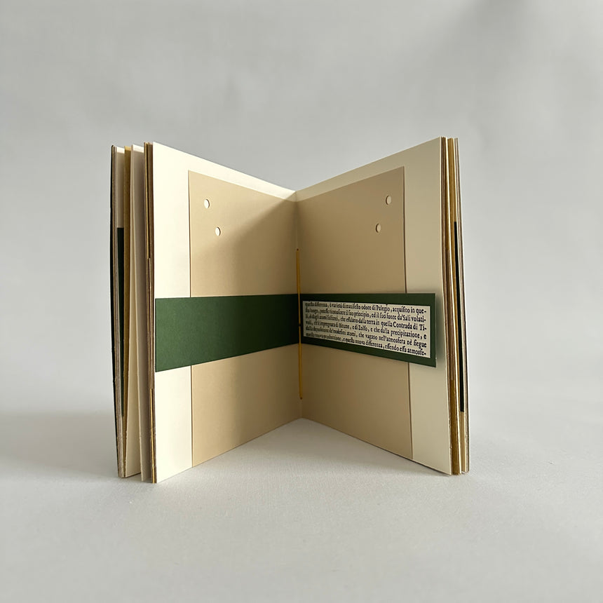 Herbarium XV medio
