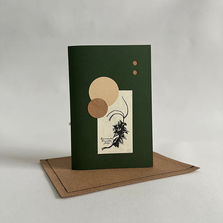 Herbarium XXII piccolo