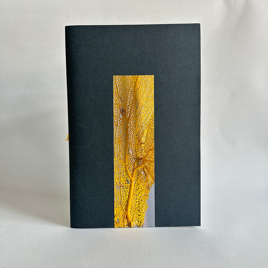 Sketchbook Museum VII