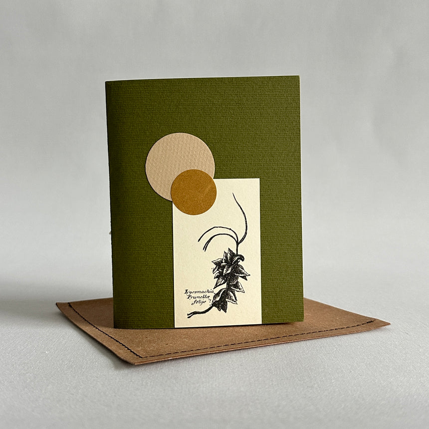Herbarium III piccolo