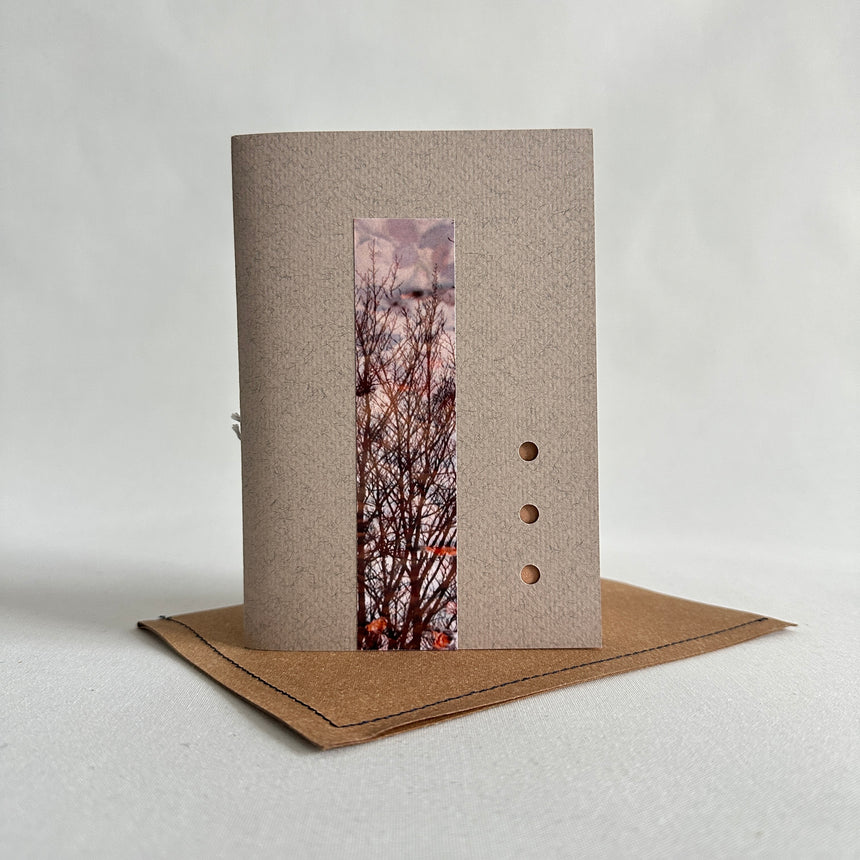 Nature XXXIII piccolo