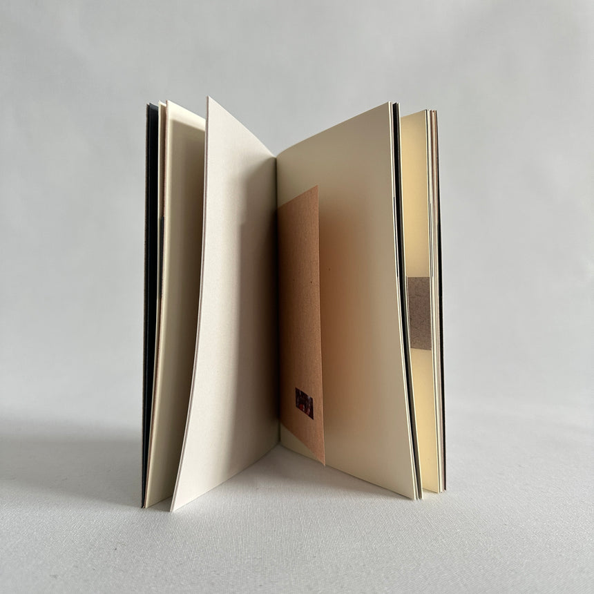 Nature XXXII piccolo