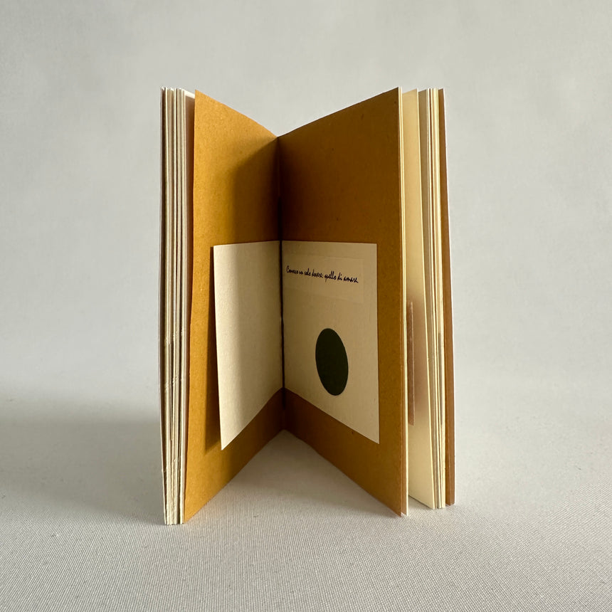 LGBTQ+  piccolo VIII