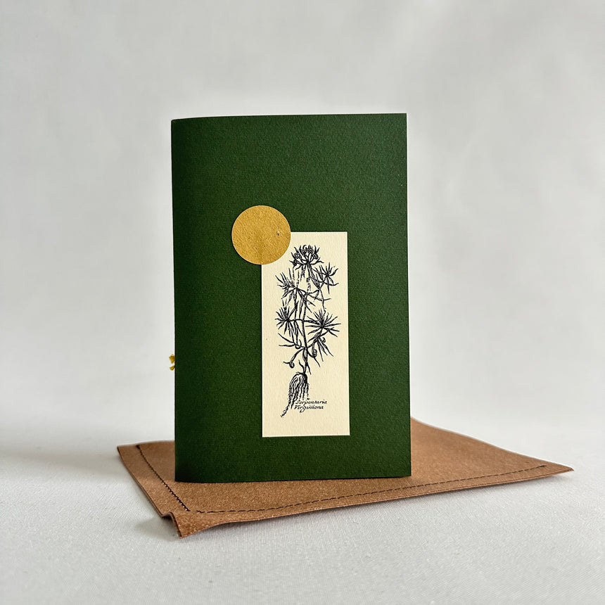 Herbarium XX Piccolo