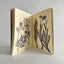 Herbarium X medio