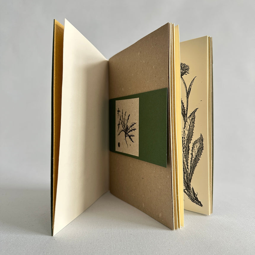 Herbarium X medio