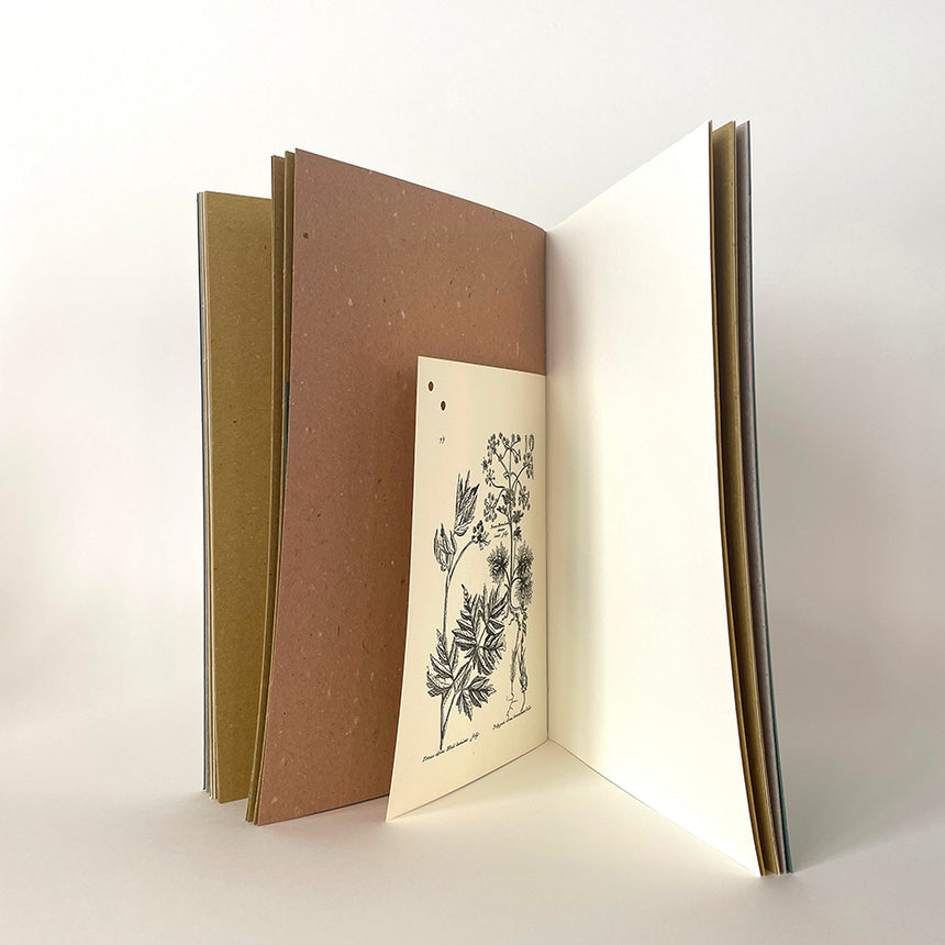 Sketchbook Herbarium