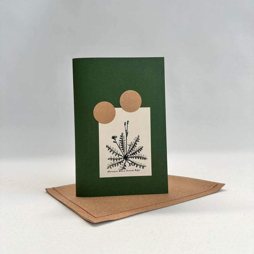 Herbarium XXIII piccolo