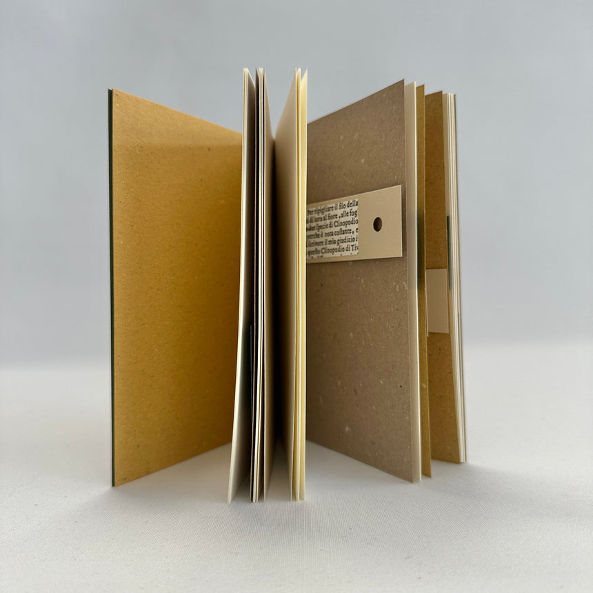 Herbarium XXIII piccolo