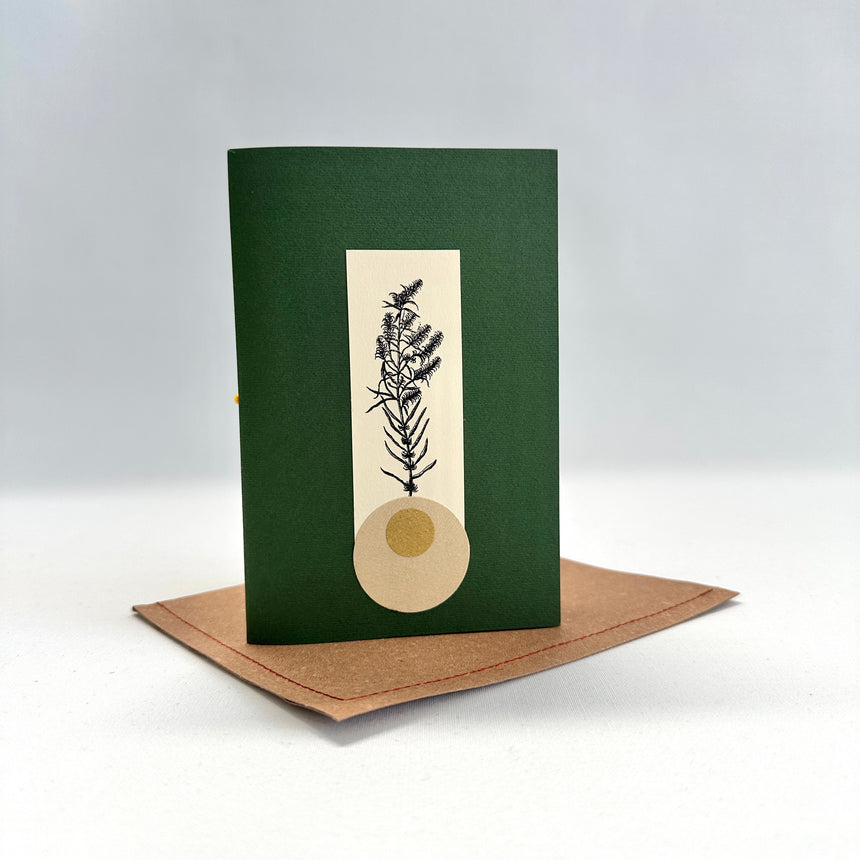 Herbarium VI piccolo