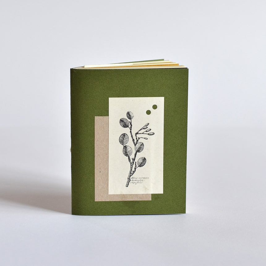 Herbarium I piccolo